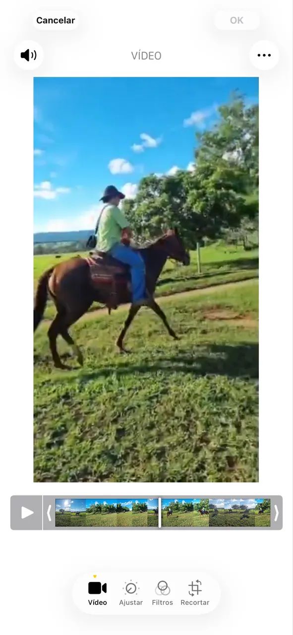 ÉGUA MACHADEIRA VENDA - Foto 3