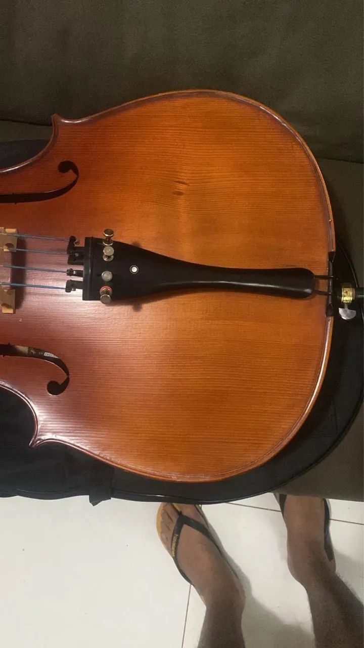 Violoncelo 4/4 Eagle CE300. - Foto 2