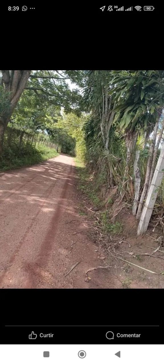 Vende-se sítio  - Foto 2