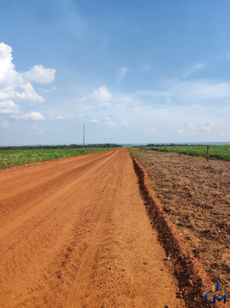 Fazenda a 80KM DE NOVA MUTUM - Foto 3