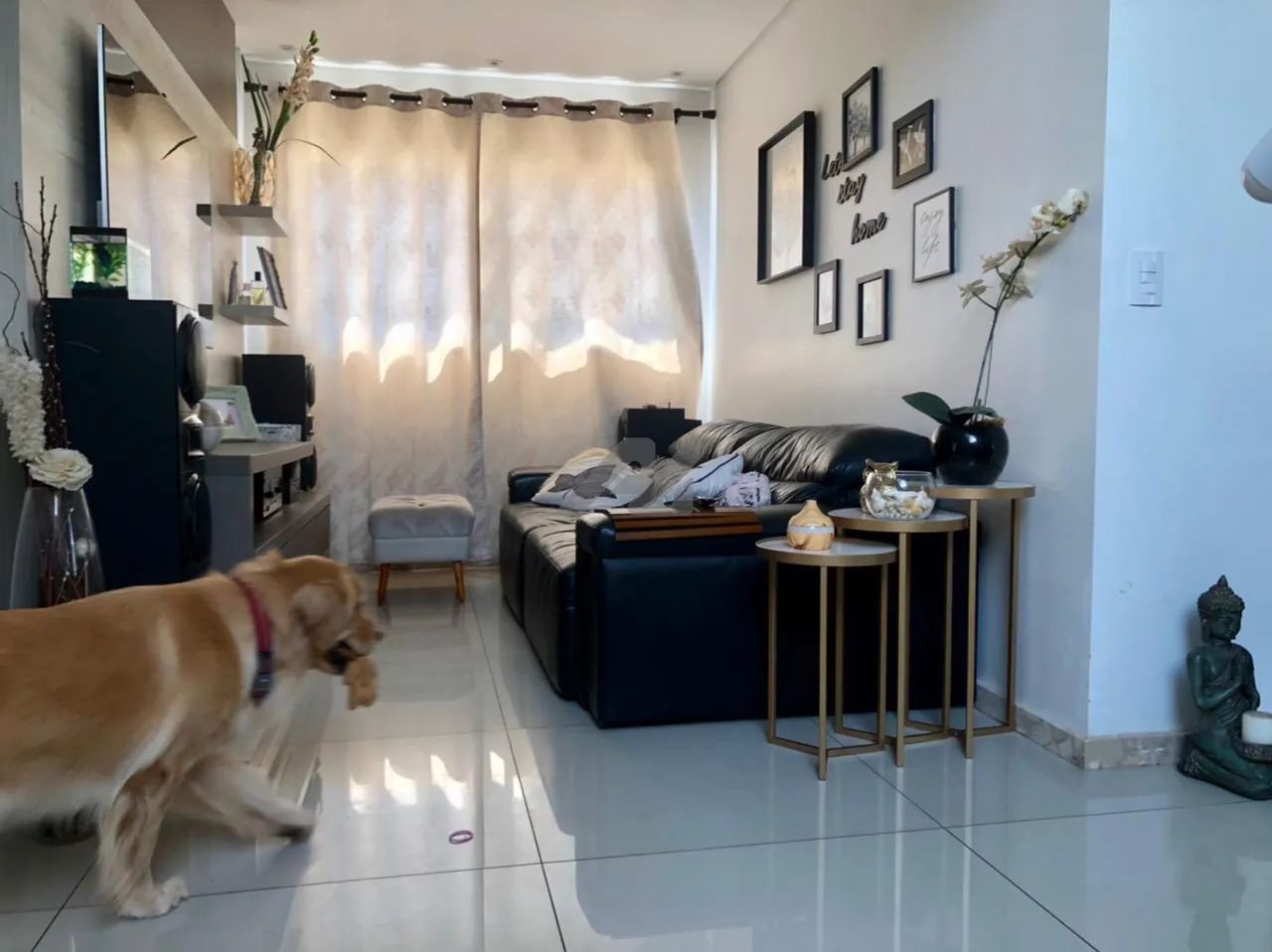 casa - Chácara das Nações - Valinhos - Foto 5