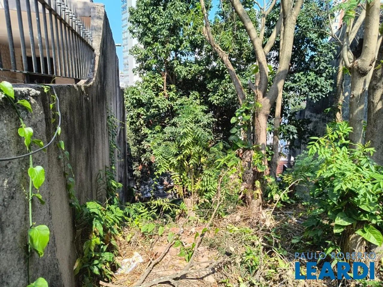 TERRENO - ALTO DA LAPA - SP - Foto 3