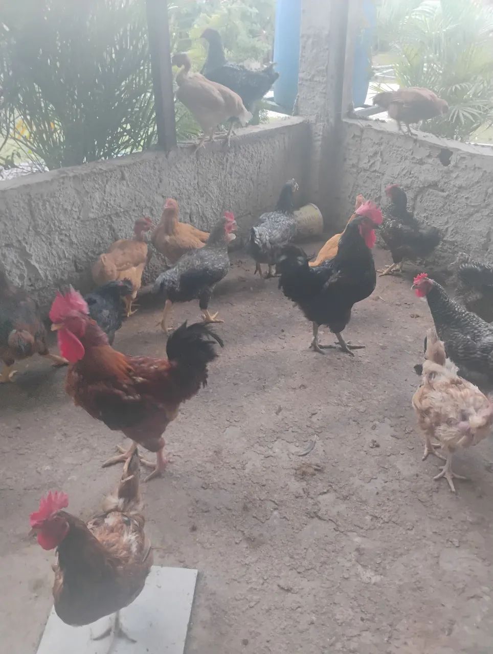 Ótima oportunidade. - Foto 5