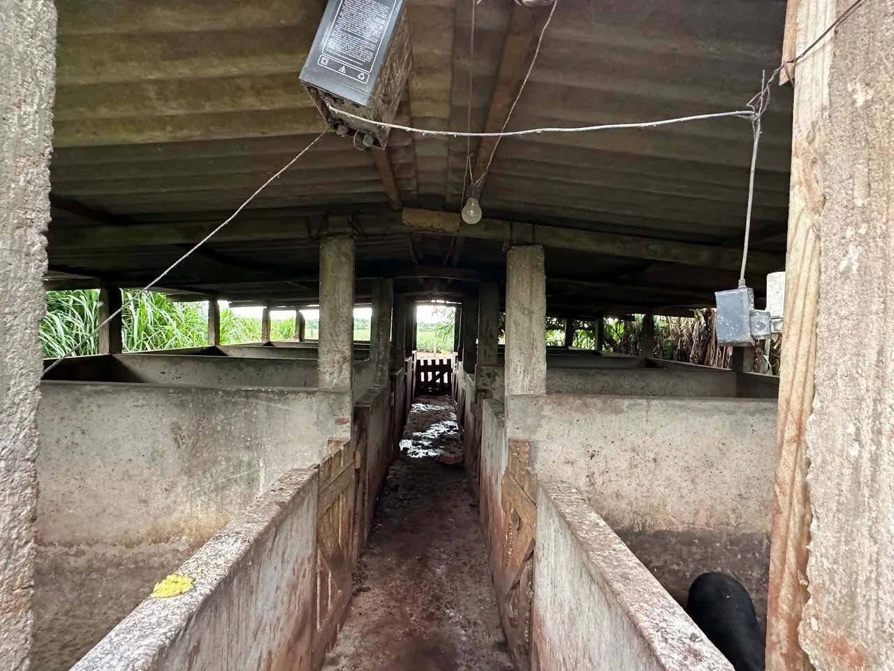 Chácara município de sidrolandia - Foto 4