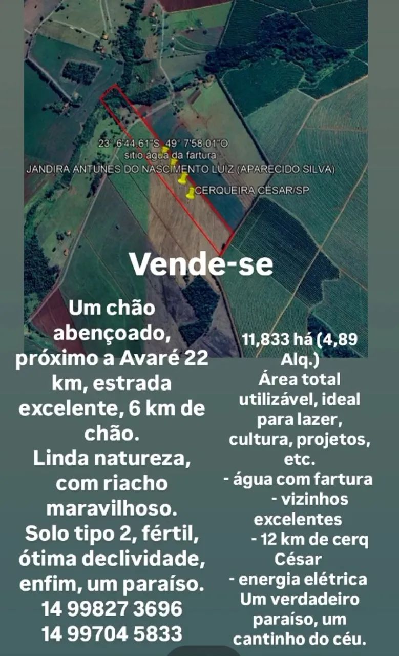 Foto - Cerqueira César - 