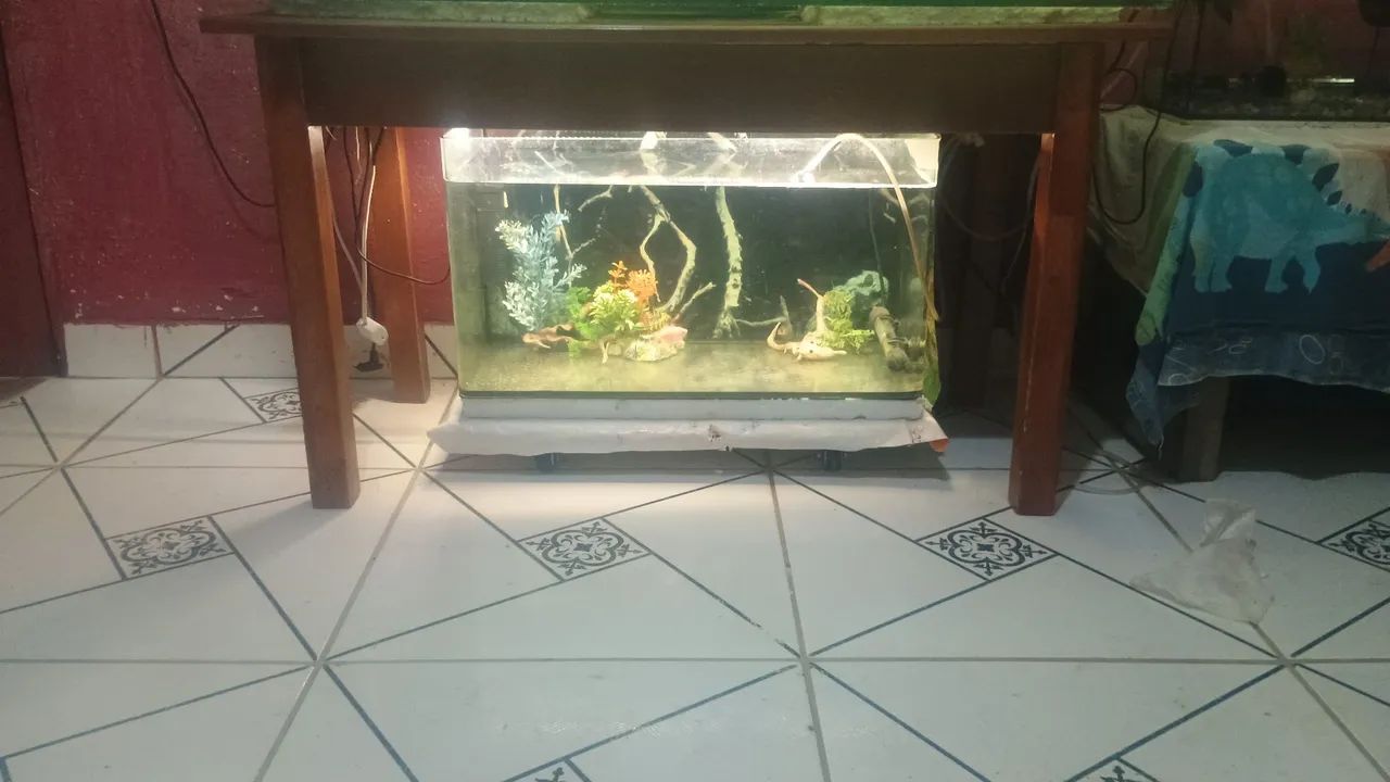 Aquário 60 litros 