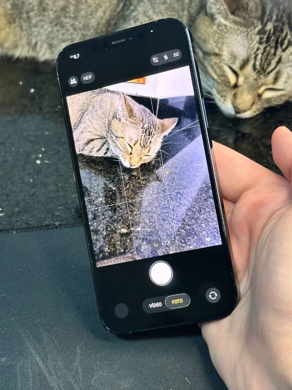 iPhone 12 Pro Max 256GB cor Celeste (Pacific Blue). - Foto 4