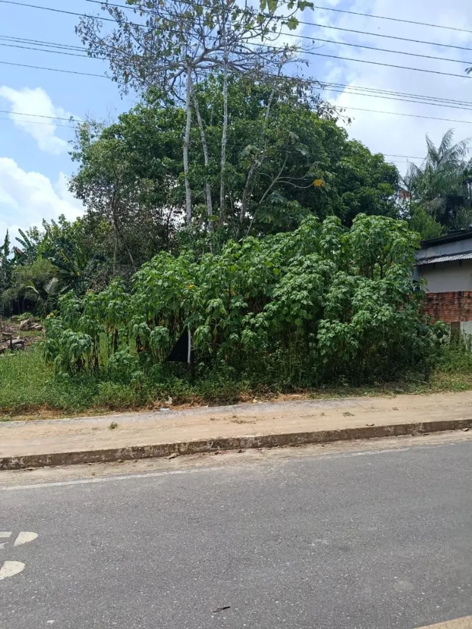 VENDE-SE TERRENO URBANO EM CUTIAS