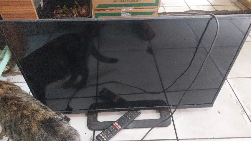 TV 