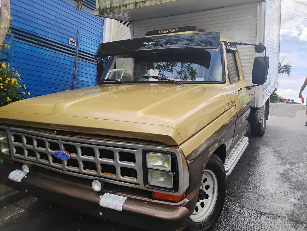 Ford F-1000 S. S. Diesel / S.s. Diesel Turbo 1984