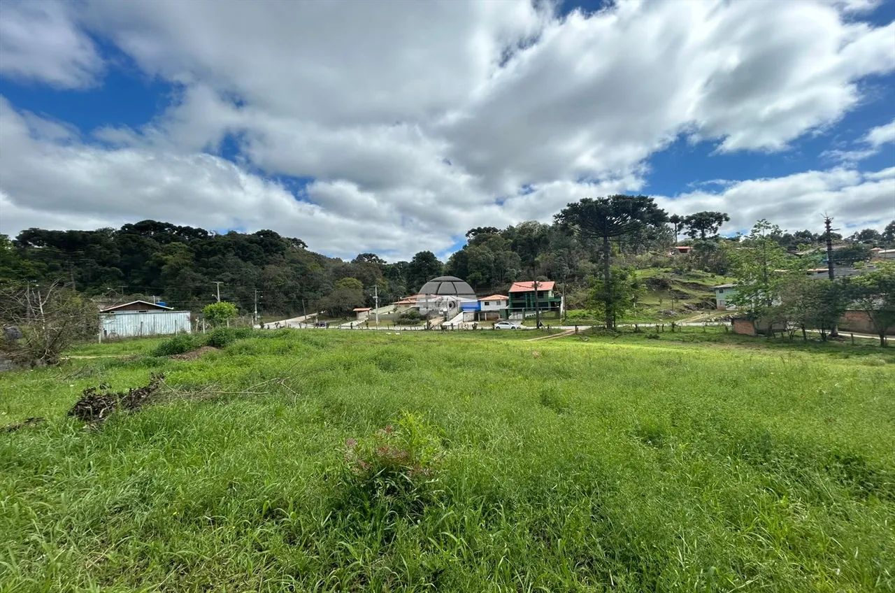Vendas Terreno Campo Largo PR - Foto 3