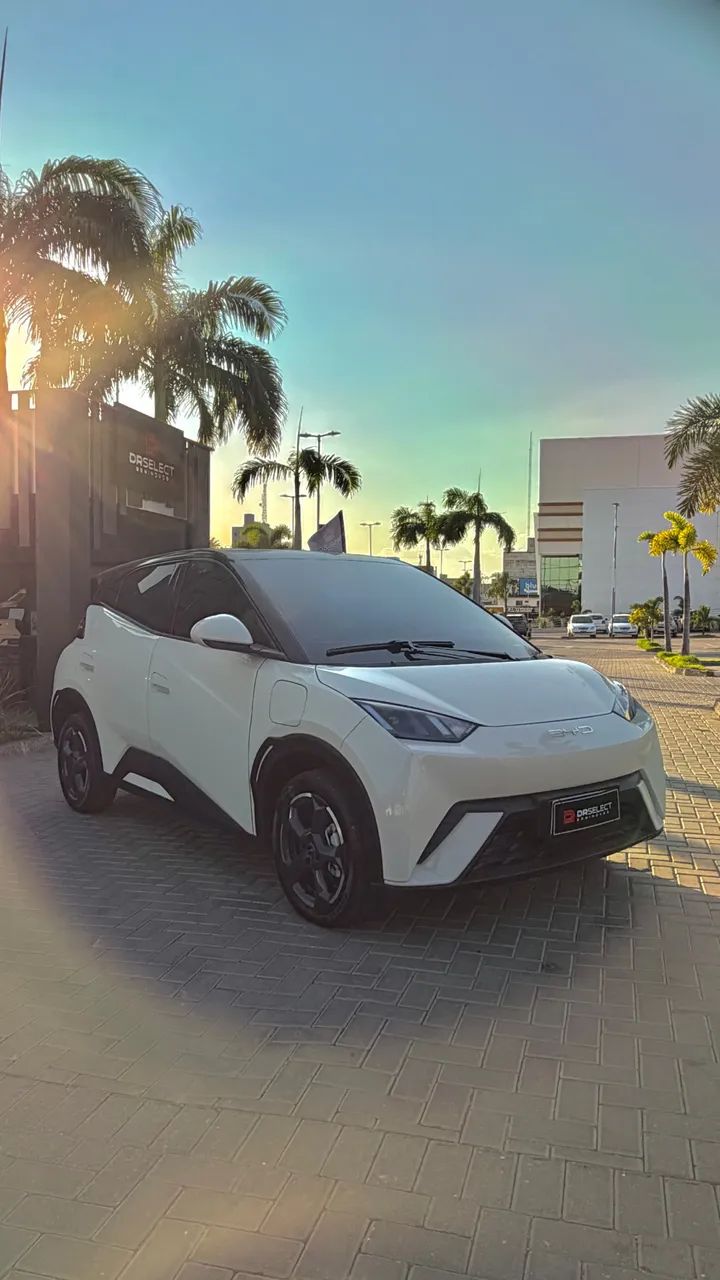 BYD Dolphin GS (Elétrico) 2025 - Foto 3