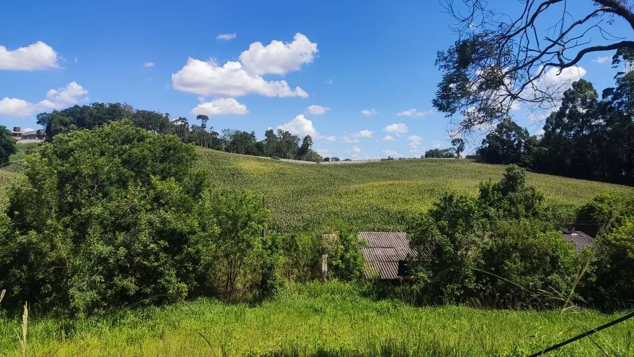 GALPÃO PARA ALUGAR - CAMPO MAGRO/PR - Foto 2