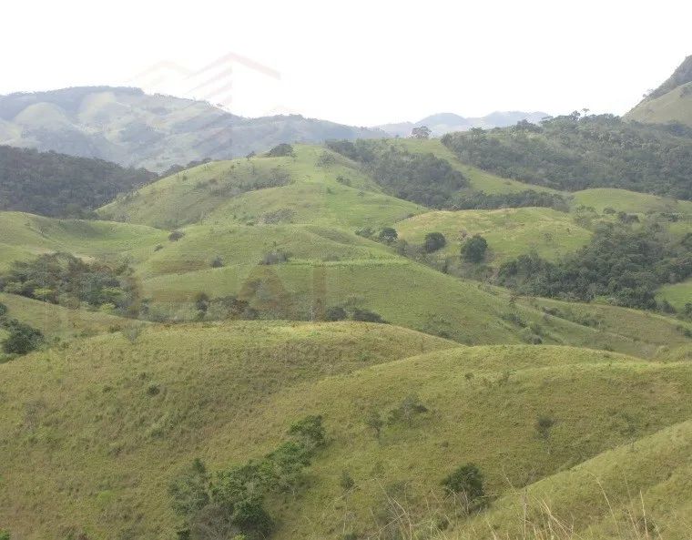 Fazenda em Centro - Italva