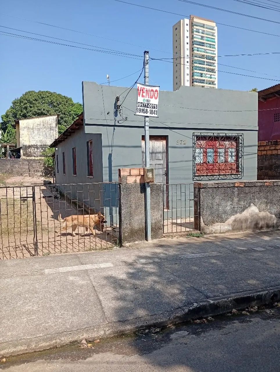 Vendo 