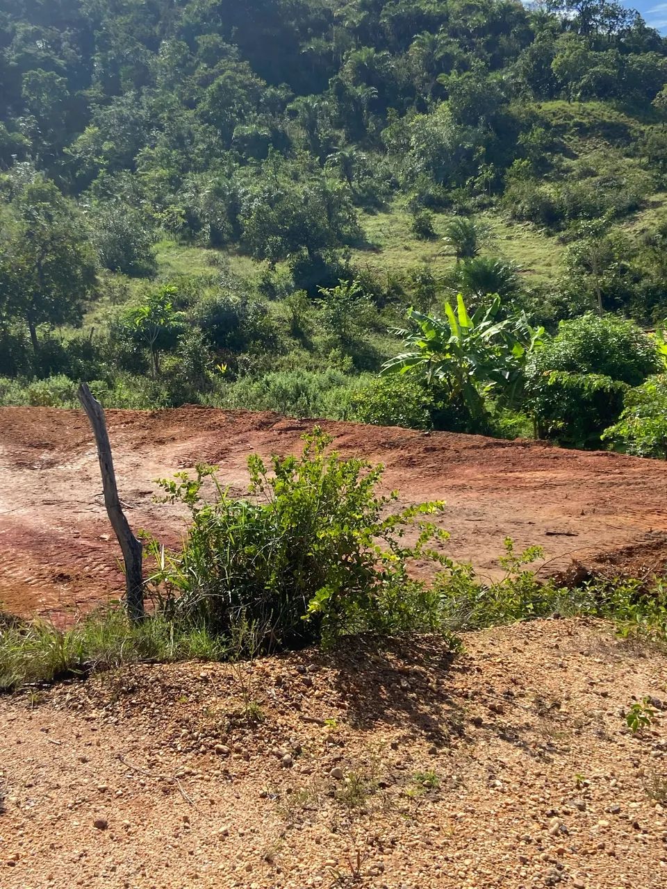 Terreno no Final de linha do Santa Maria - Foto 3