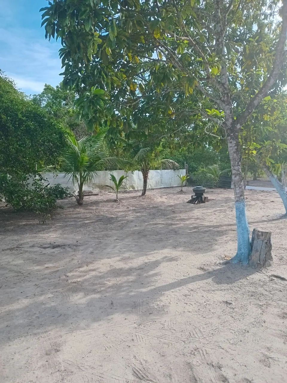 Sítio em Cachoeira - Bahia - Foto 4