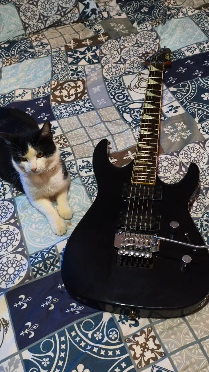 Guitarra Phil Pro