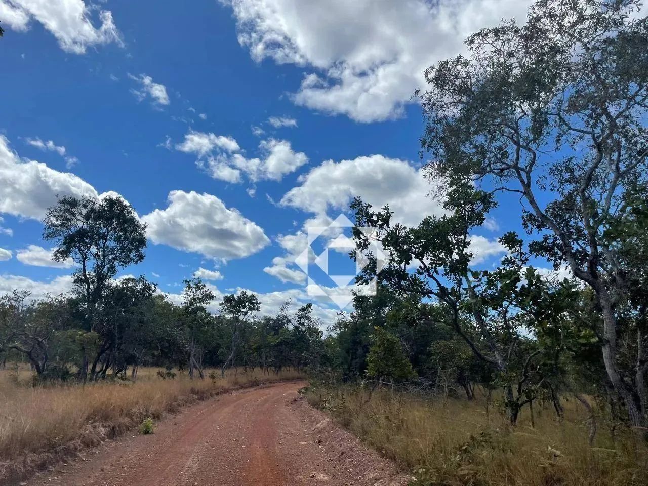 Fazenda com 900 alqueires para lavoura em Almas - Foto 7