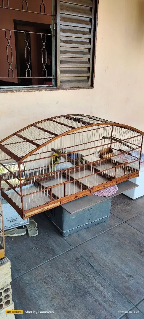 Gaiola - Foto 3