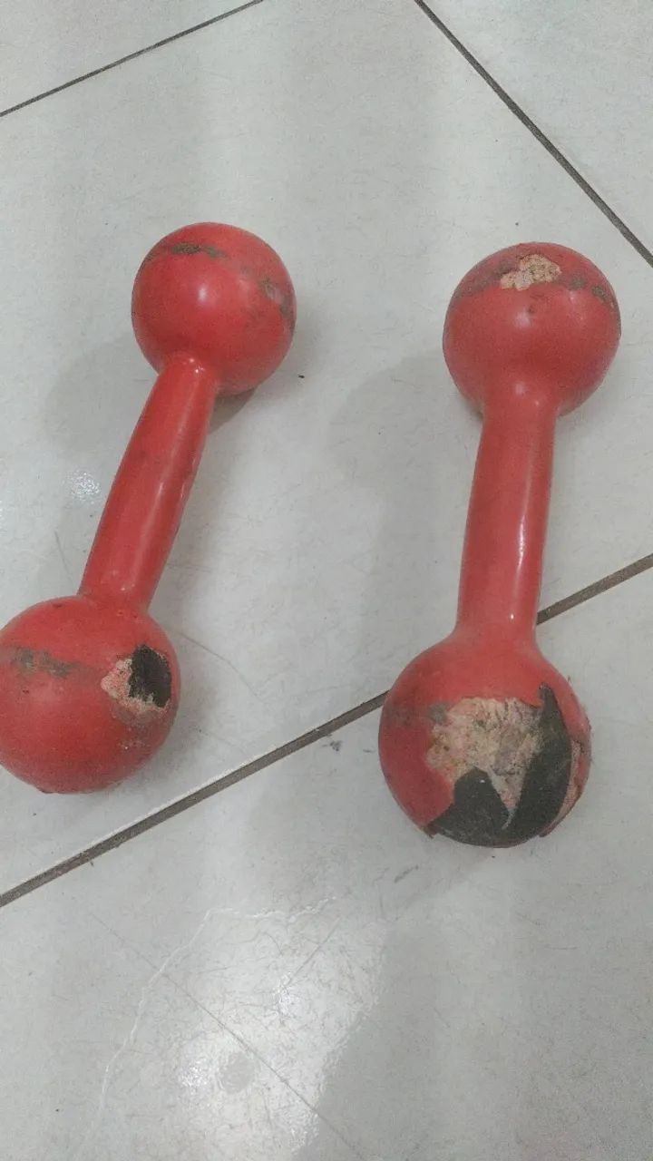 Halteres  - Foto 4