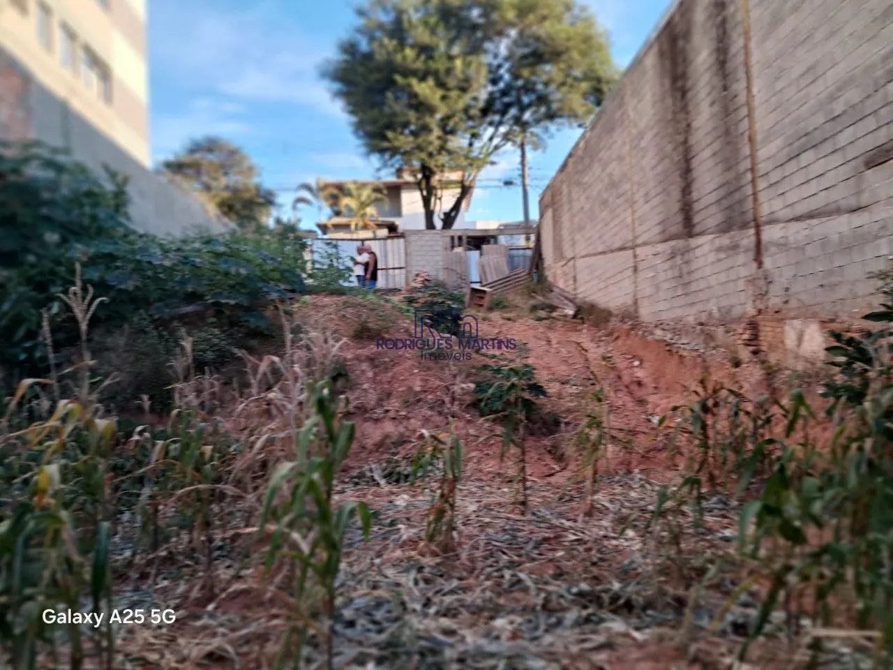 Lote 360m² à venda no Carlos Prates - Foto 5
