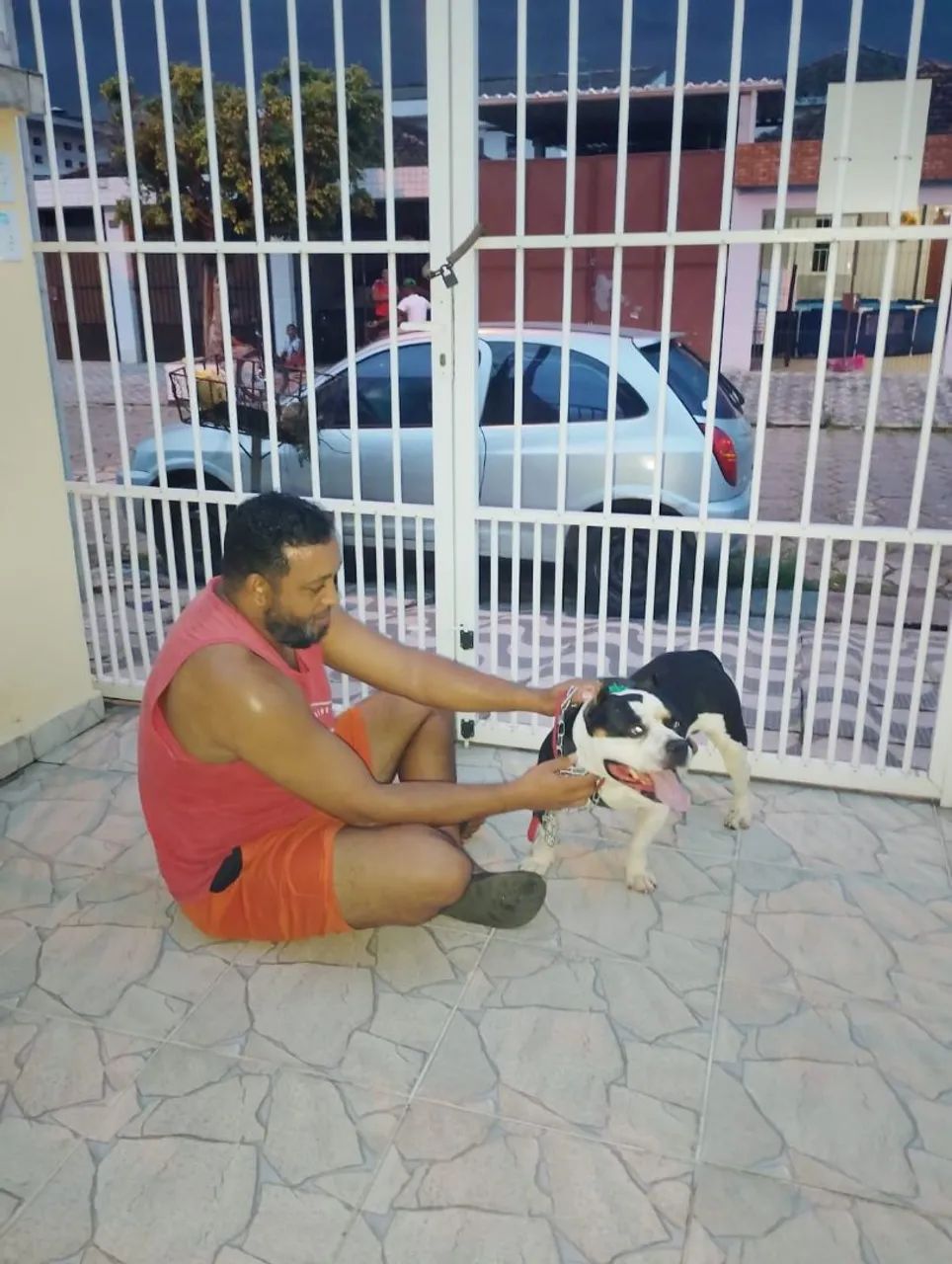Passeador de cães.  Dog. WhatsApp  11- *  - Foto 3