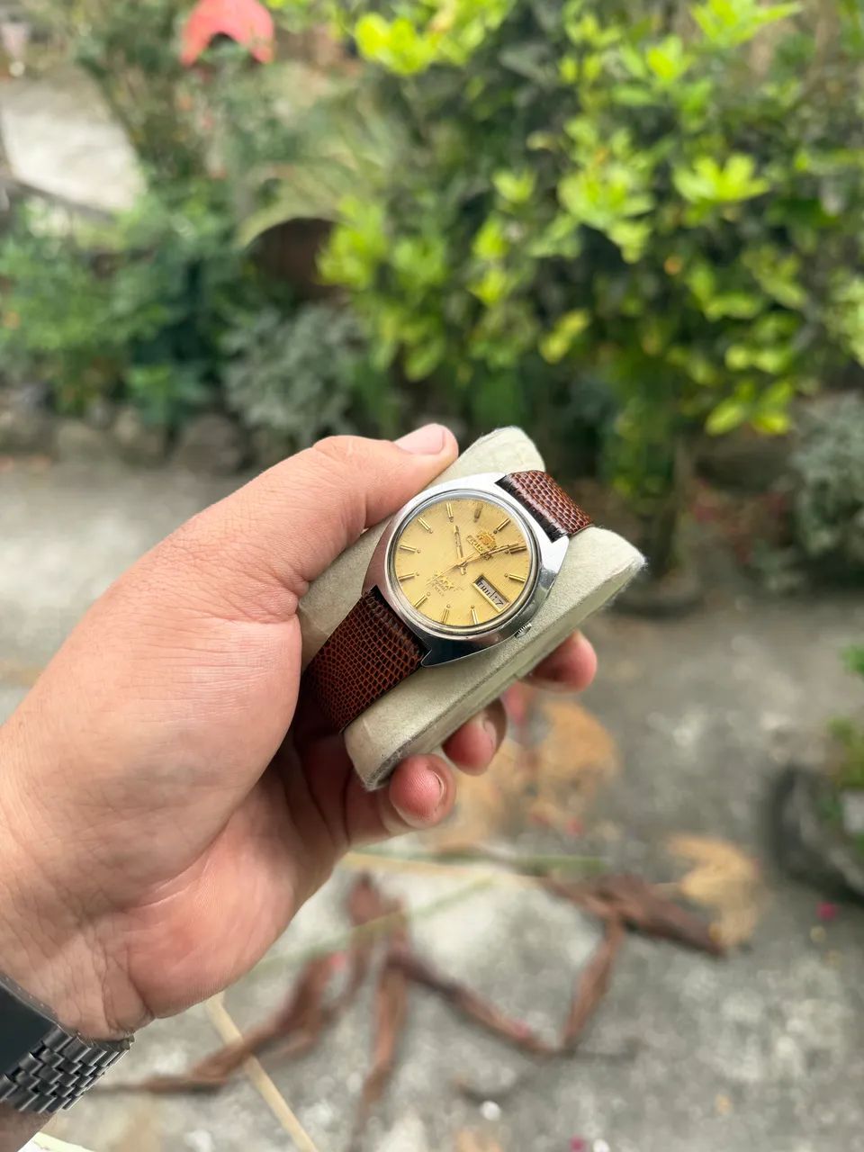 Orient Automático 