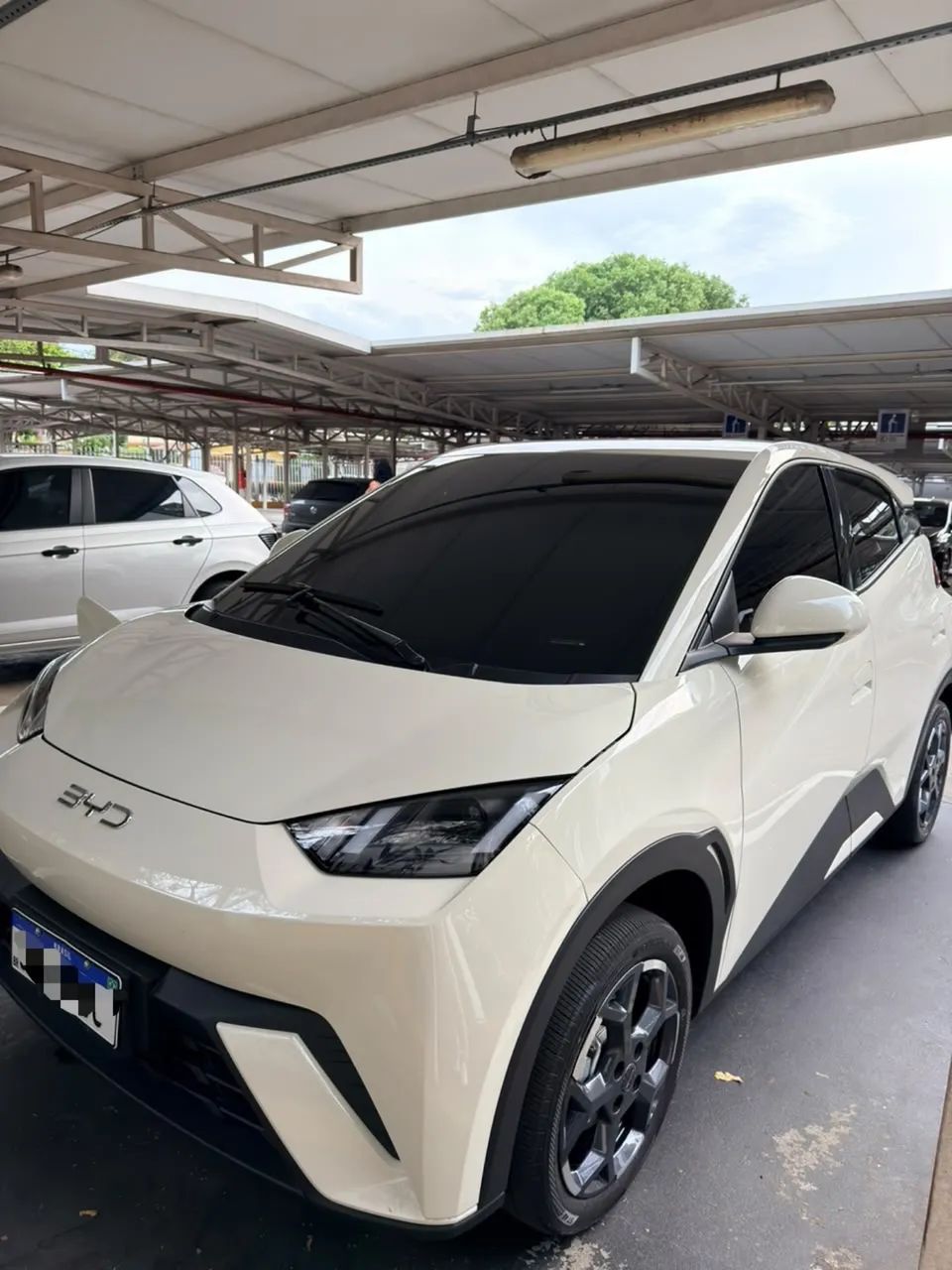 BYD Dolphin Mini GL 2027 - Foto 3