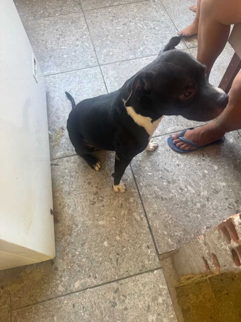 Doação  - Foto 2