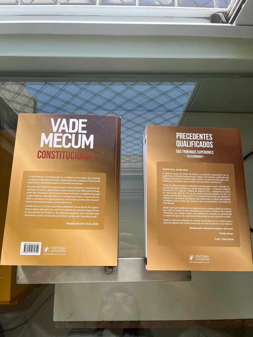 Vade Mecum Constitucional - Foto 2
