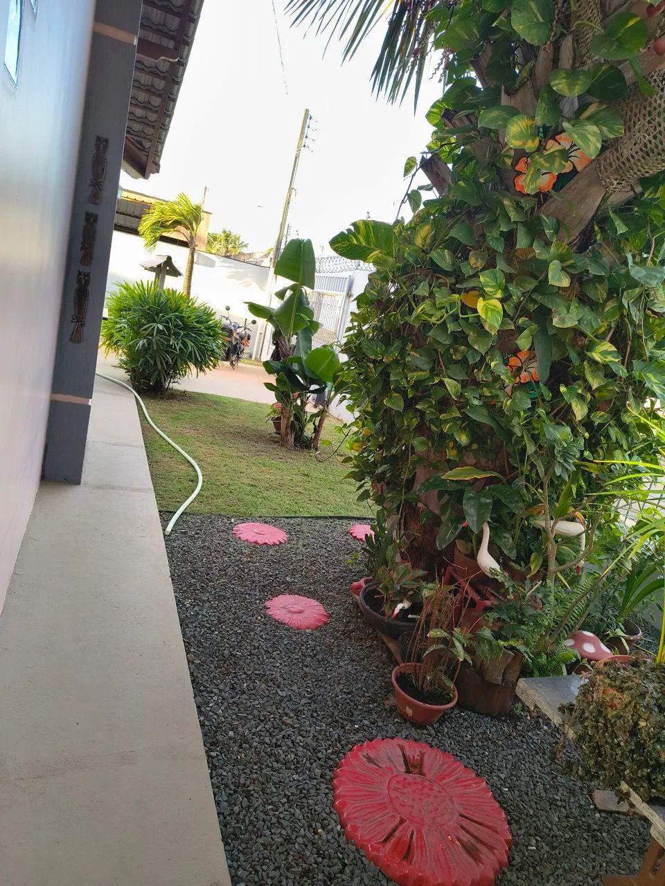 Limpeza de terreno , poda de árvore trabalho de jardinagem  - Foto 3