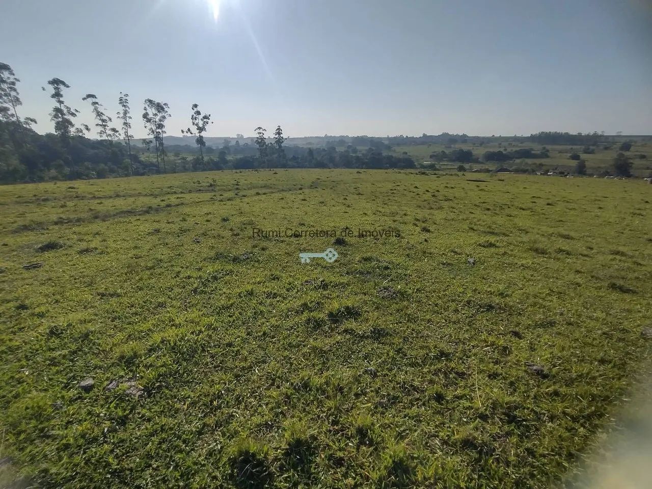 Vende-se sítio 5 alqueires em Carlopolis PR - Foto 4