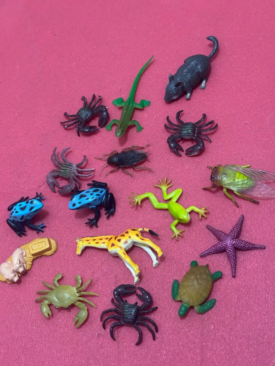 Coleção animais de brinquedo 