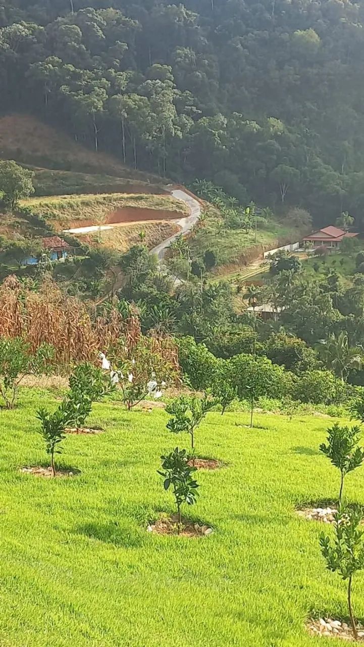 Chácara próximo ao Parque do China - Foto 4