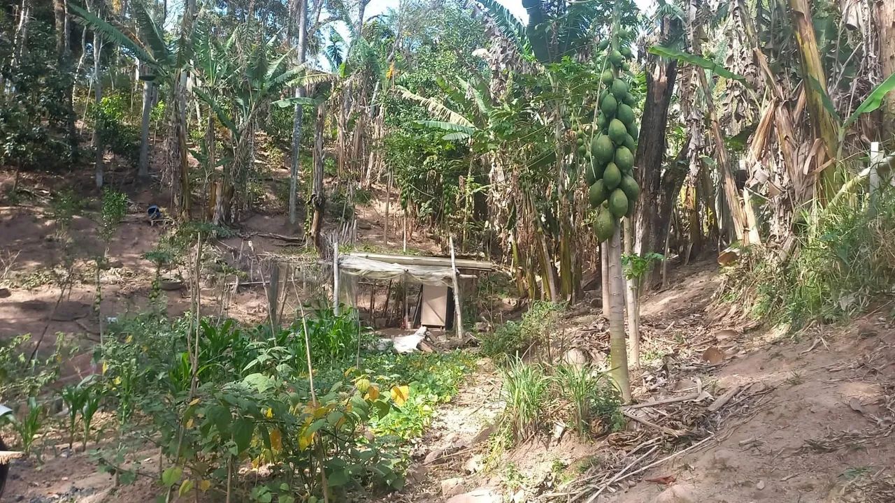 Sítio perto d sp perto d mariporam  - Foto 3