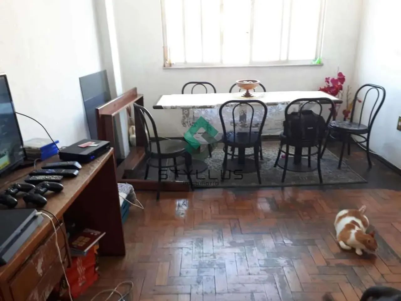 Lins de Vasconcelos | Apartamento 2 quartos - Foto 3
