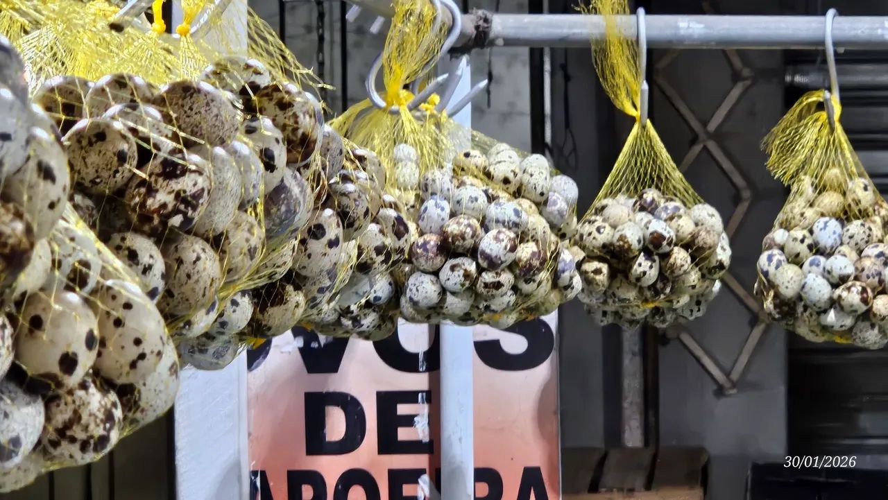 Ovos de codorna - Foto 2