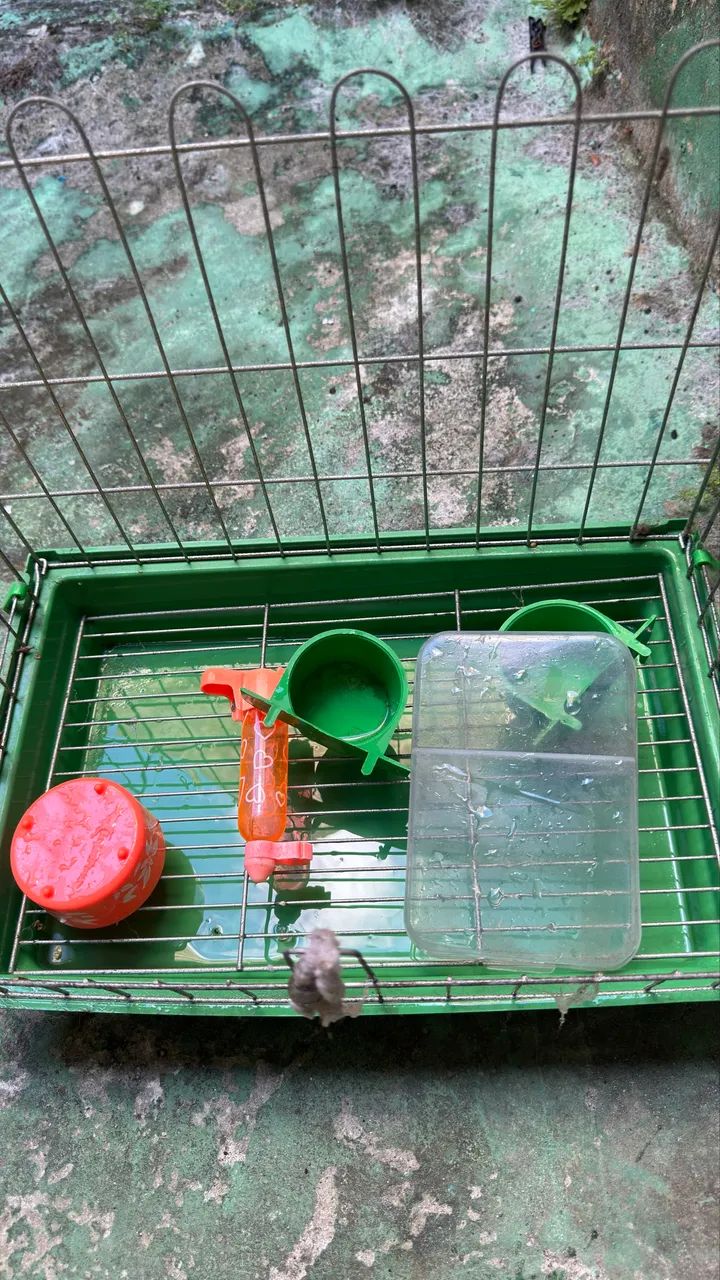 Gaiola/ Poleiro  - Foto 4