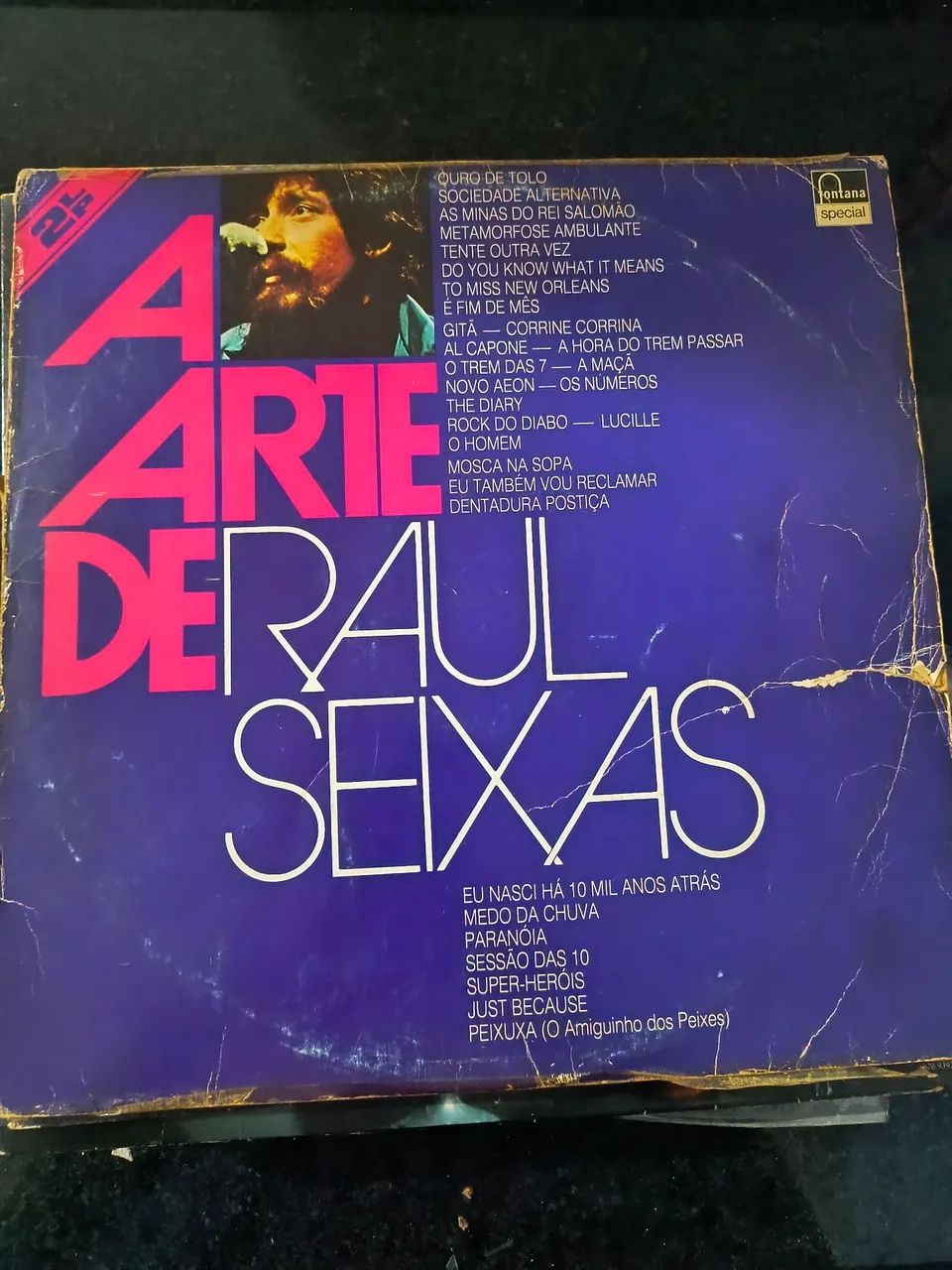 DISCO A ARTE DE RAUL SEIXAS