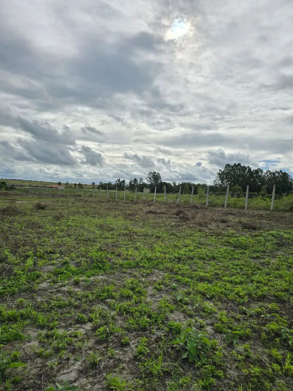 Terreno 35.000 - Foto 4