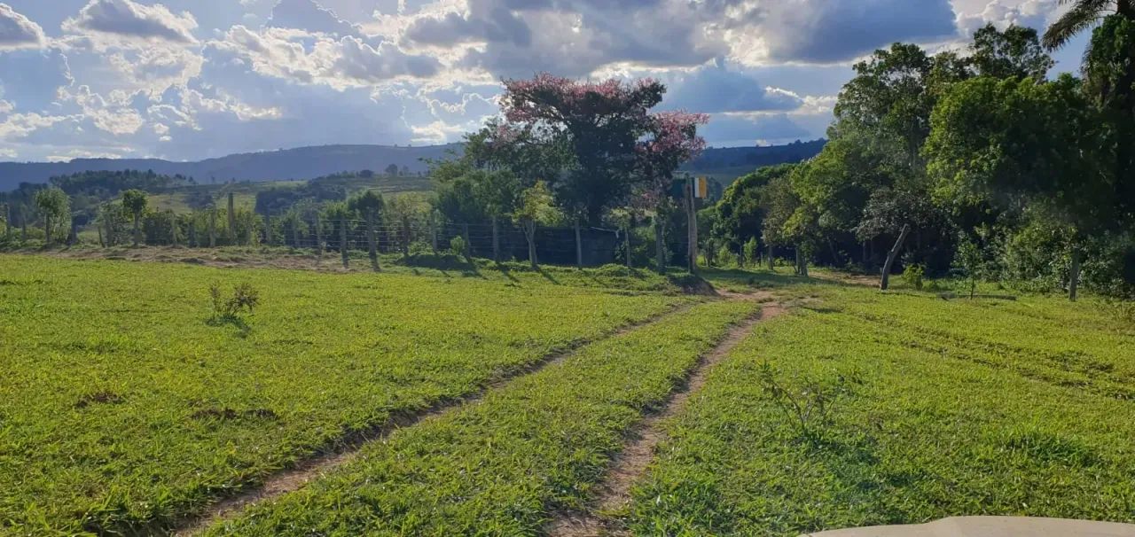 Sítio para boi (pecuária ) - Foto 5
