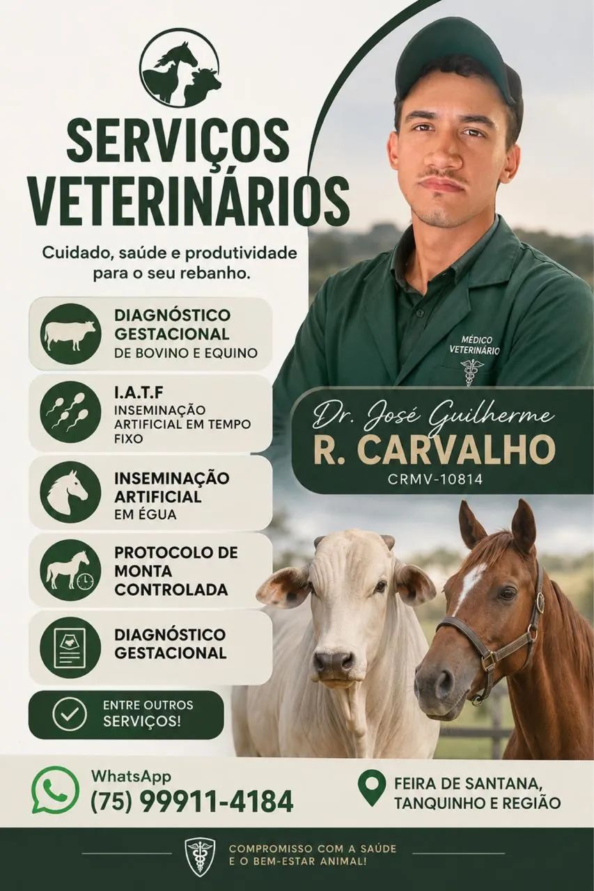 Inseminação em éguas 