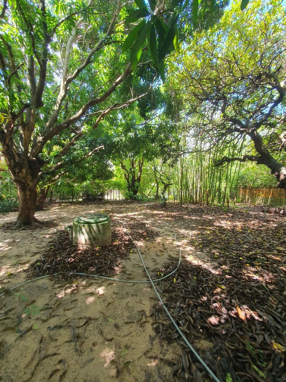 Sitio com 3.0000 metros quadrados com casa 3 quartos no Eusébio!!!! - Foto 4