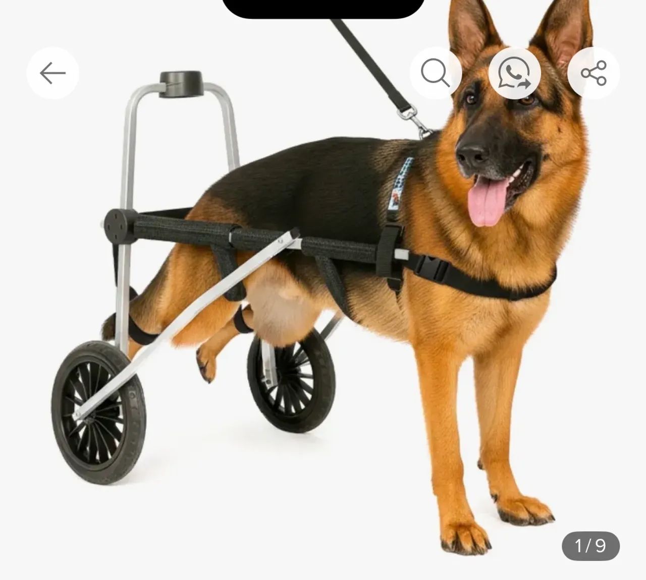 Cadeira de rodas cachorro regulável tamanho XG