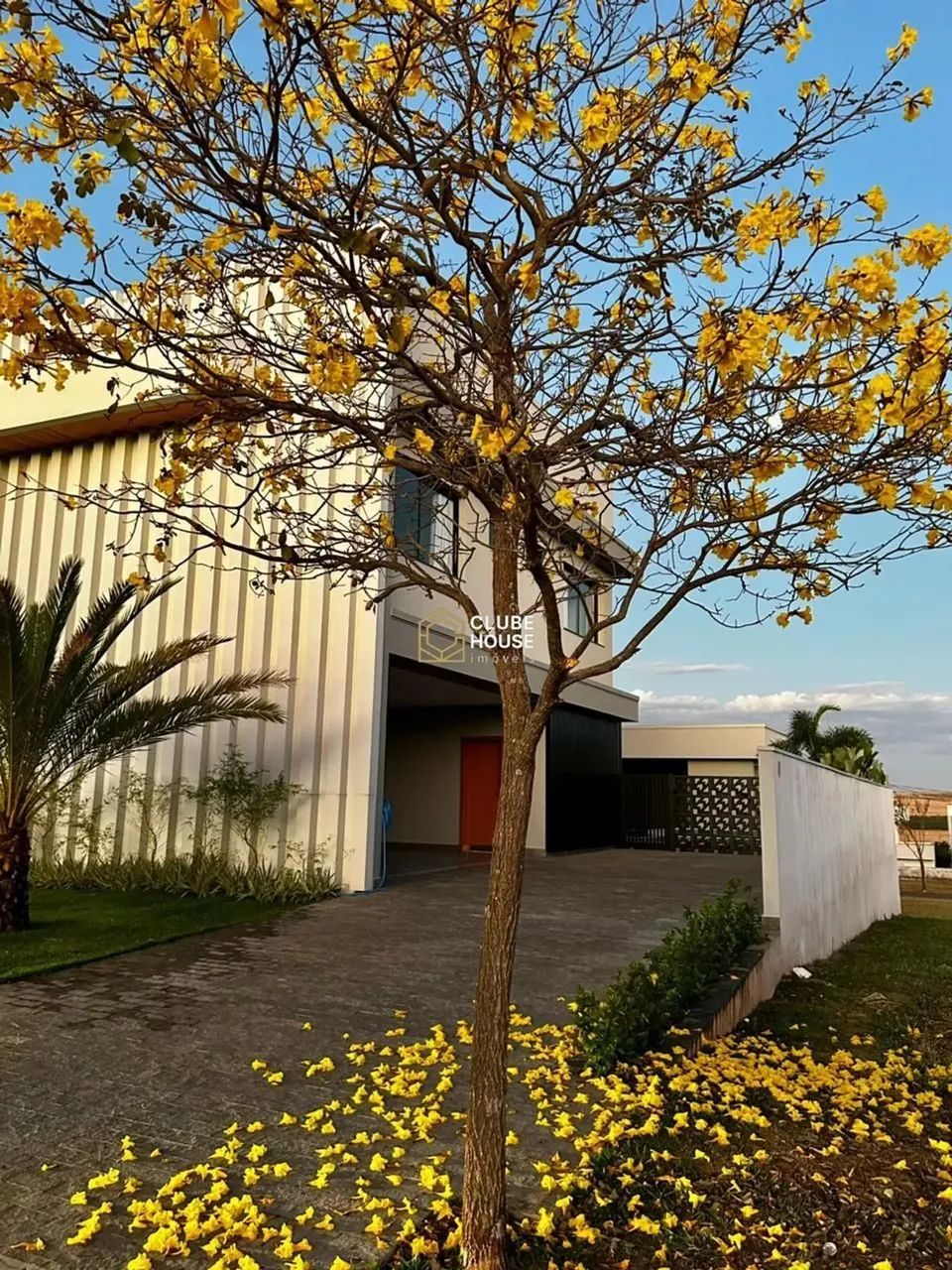 Lote na Rua mais charmosa e arborizada do Terras Alphaville, proximo a portária - Foto 5