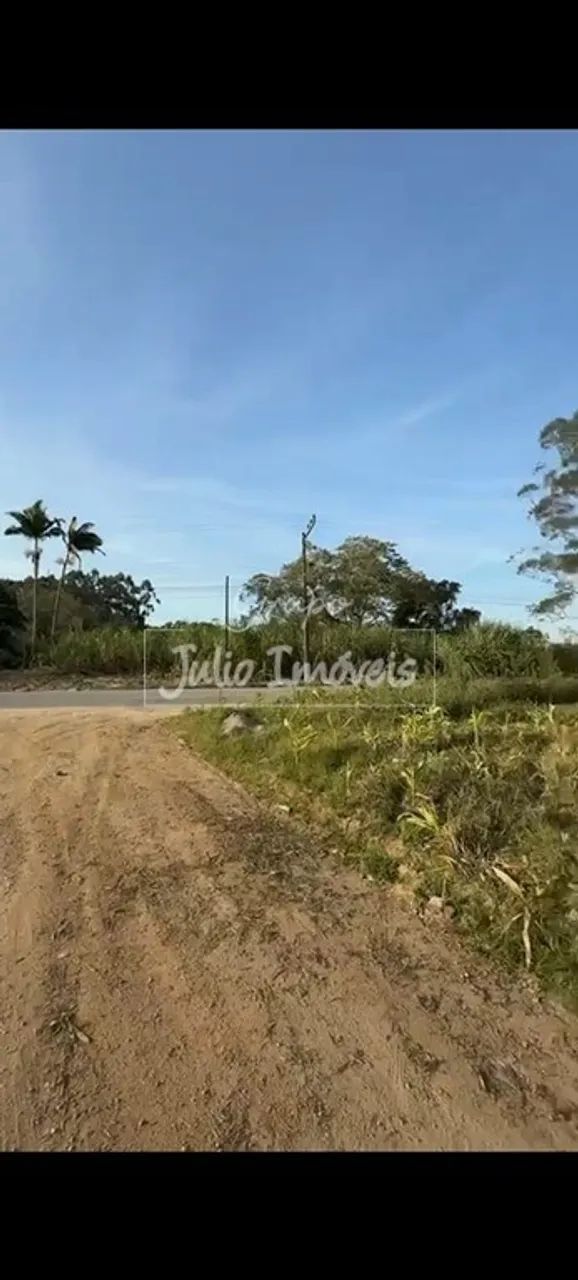 Terreno amplo em São João Batista - Foto 4