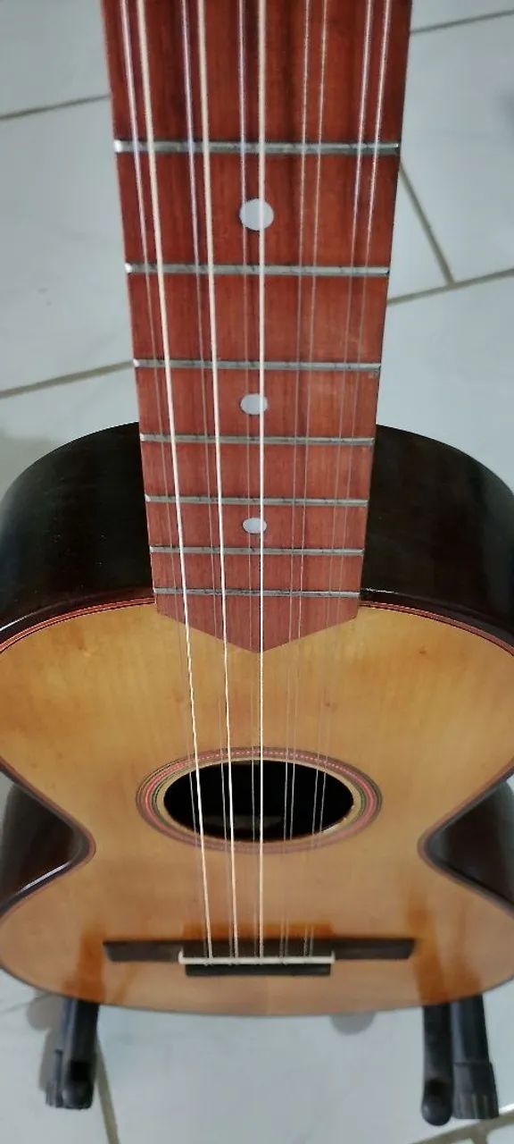 Viola caipira 
