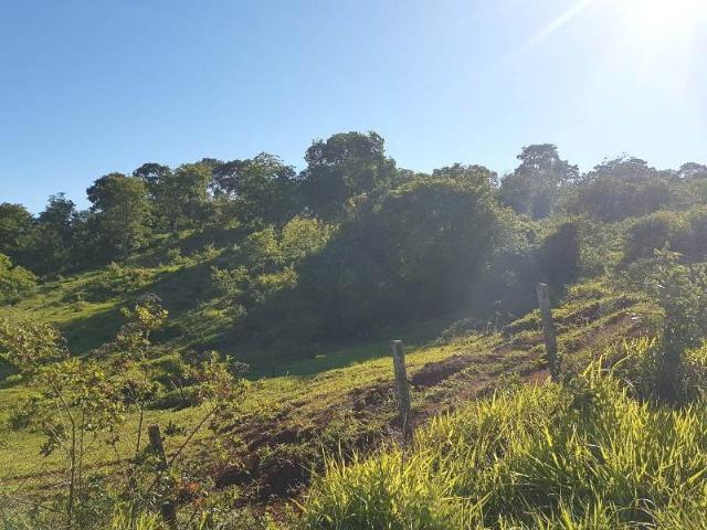 Fazenda de 100 ha em Sacramento/MG - Foto 5