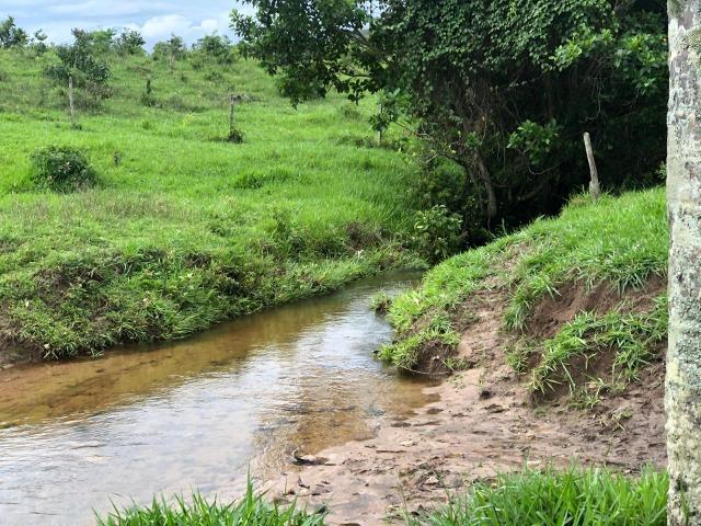 240 Alq. 160 km de Goiânia. (Gado e Soja) - Foto 13